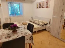 Ubytování Hamry