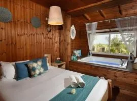 מול כנרת בליבנים