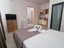 Casa Carina, khách sạn ở Brăila