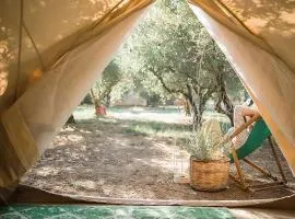 NoLux Camping Tent