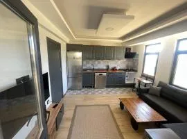 Spacious and modern apartment with a view