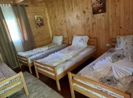 Guest house Niko