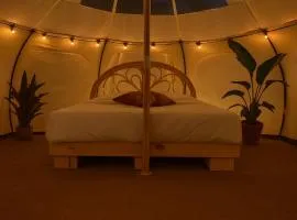 Glampingtelt telt i naturens hjerte