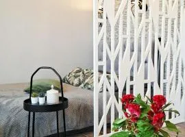 Apartamentai prie Akropolio gražiu vaizdu į miesta