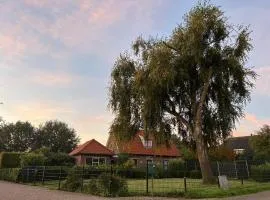 Equi Guidance Studio