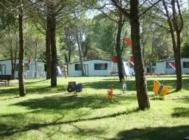 Houses and Mobilehomes in Grado 38490