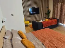 A cosy studio flat