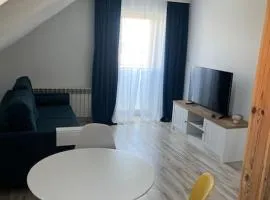 Apartament Studio Sasankowa