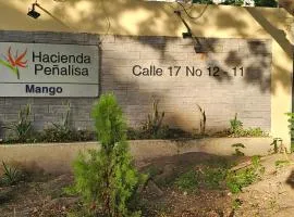 Hacienda Peñalisa Mango