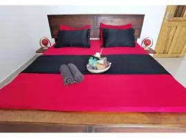 La MAISON BLANCHE - D - CENTRAL - CALME - WIFI - White Butterfly Hotels