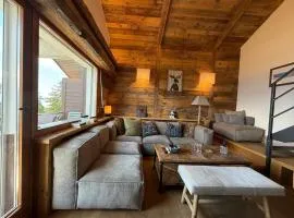 Crans-Montana luxury duplex ,Swiss Alps