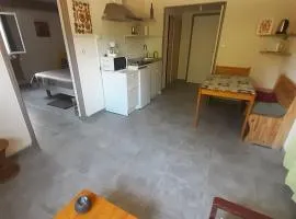 Appartement entre LAC et VILLE