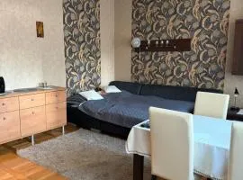 Mieszkanie w samym centrum