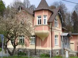 Rodinný apartmán Villa Magnólie - Lipová lázně