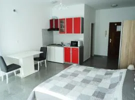Charming studio for couples near beach AC parking