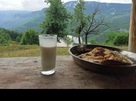 Camp Apartmani Tara, casa rústica em Pljevlja