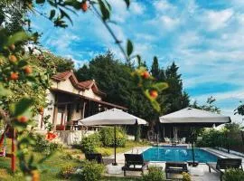 Manzara Ödüllü Büyük Havuzlu Premium Villa