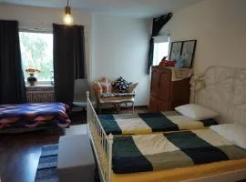 Cozy big apartment near center