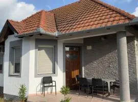 House and Apt in Keszthely Balaton 19032