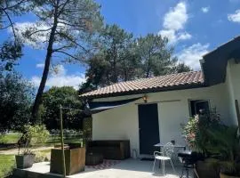 Gîte Pays Basque Domaine de La Lande "Les pins"