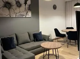 Apartament HALLERA