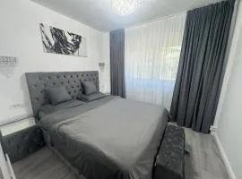 Apartament Silver Nest Comanesti