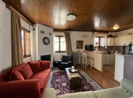 Arachova - Downtown Exclusive Apartment