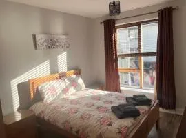 Bright Spacious Apartment