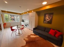 Premium RED Mountain Lodging