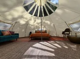 Tree Top Sanctuary Cowichan Valley
