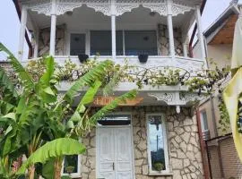 City house kutaisi - vintaje
