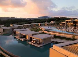 King Jason Zante – Designed for Adults