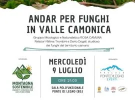 Adamello Peak TWO Apartment