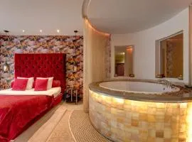 SPA apartments in city centre