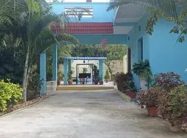 Eco JUNGLE STAYS