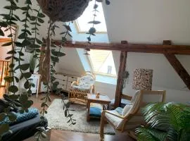 Willma Ferienhaus