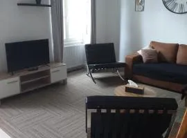 Tres bel appartement face au Chateau 2 ch 4 pers