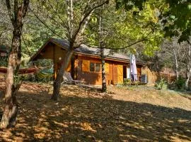 Les Chalets de la Gazonne