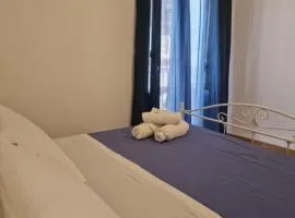 Saraceni