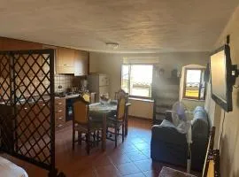 Ophi House