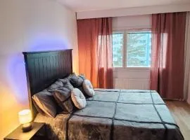 Sky View Loft nearby airport