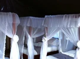 Endeem mara resort