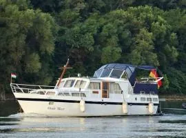 Volenter Lux Apartment Duna Boat