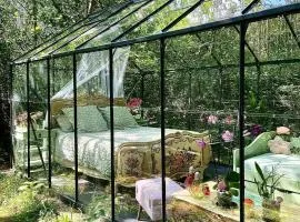 Logements Insolites, Les Rêves d'Ambre