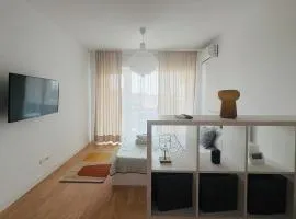 Zen 5-6 Apartments in Stefan cel Mare