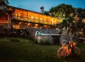 Luxurious Chateau Asa in Sežana