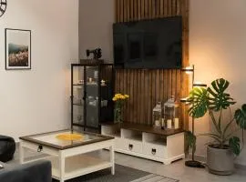 Apartament MT Badger Centrum