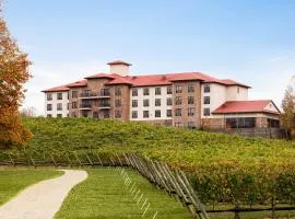 Holiday Inn Express & Suites Lexington North West-The Vineyard by IHG