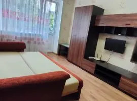 Apartment Svetlana on Parkova4