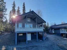 Villa Magnolia 1 Himos